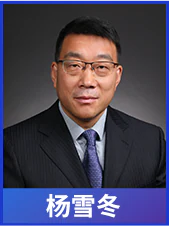 议题3杨雪冬