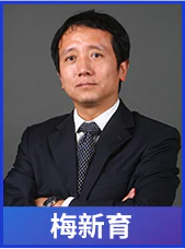 夜话国内梅新育