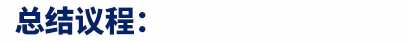 p6总结议程